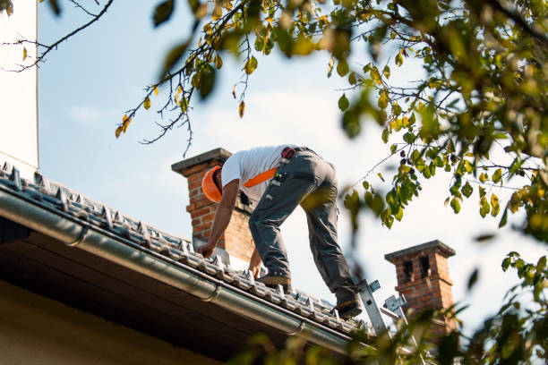 Best Roof Gutter Cleaning  in Coalinga, CA