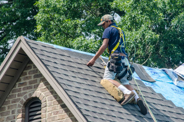 Roof Gutter Cleaning in Coalinga, CA